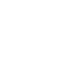LinkedIn Icon 5mm