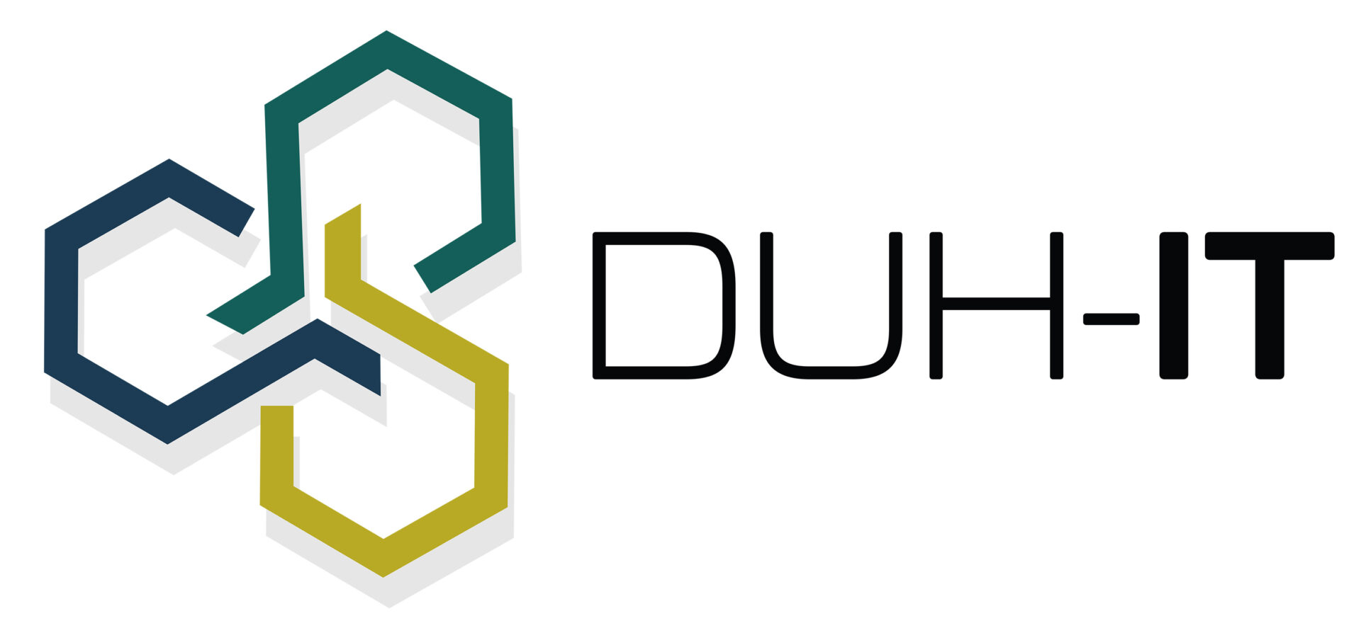 Logo DUH-IT